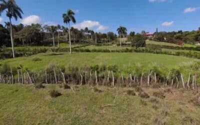 Can I Buy Land In The Dominican Republic?