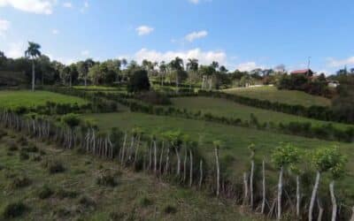 Cheap Farm Land For Sale in Dominican Republic