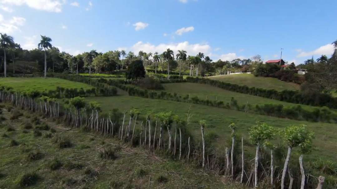 Cheap Farm Land For Sale in Dominican Republic